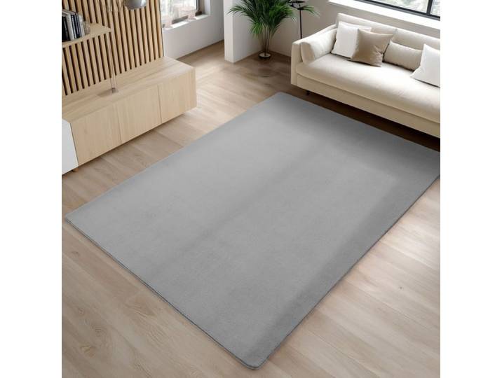 Carpetsale24 Tapis Argent 120x160 cm Lavable Antidérapant et Doux tapis uni Salon et Chambre