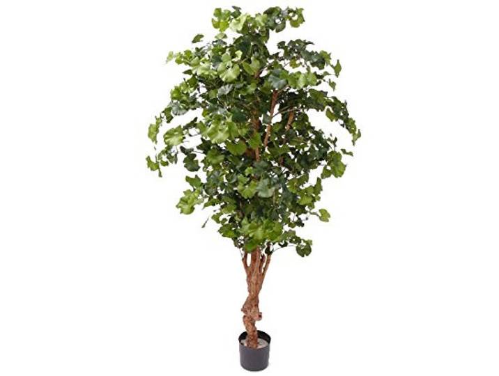 Künstlicher Ginkgo Sweet Kunstbaum Ginkobaum ca. 210cm Naturstamm, 1456 Blätter, Im Topf, Hochwertig