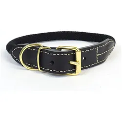 Duvoplus Explor Forest (Hund, Allgemein, Spazieren), Halsband + Leine