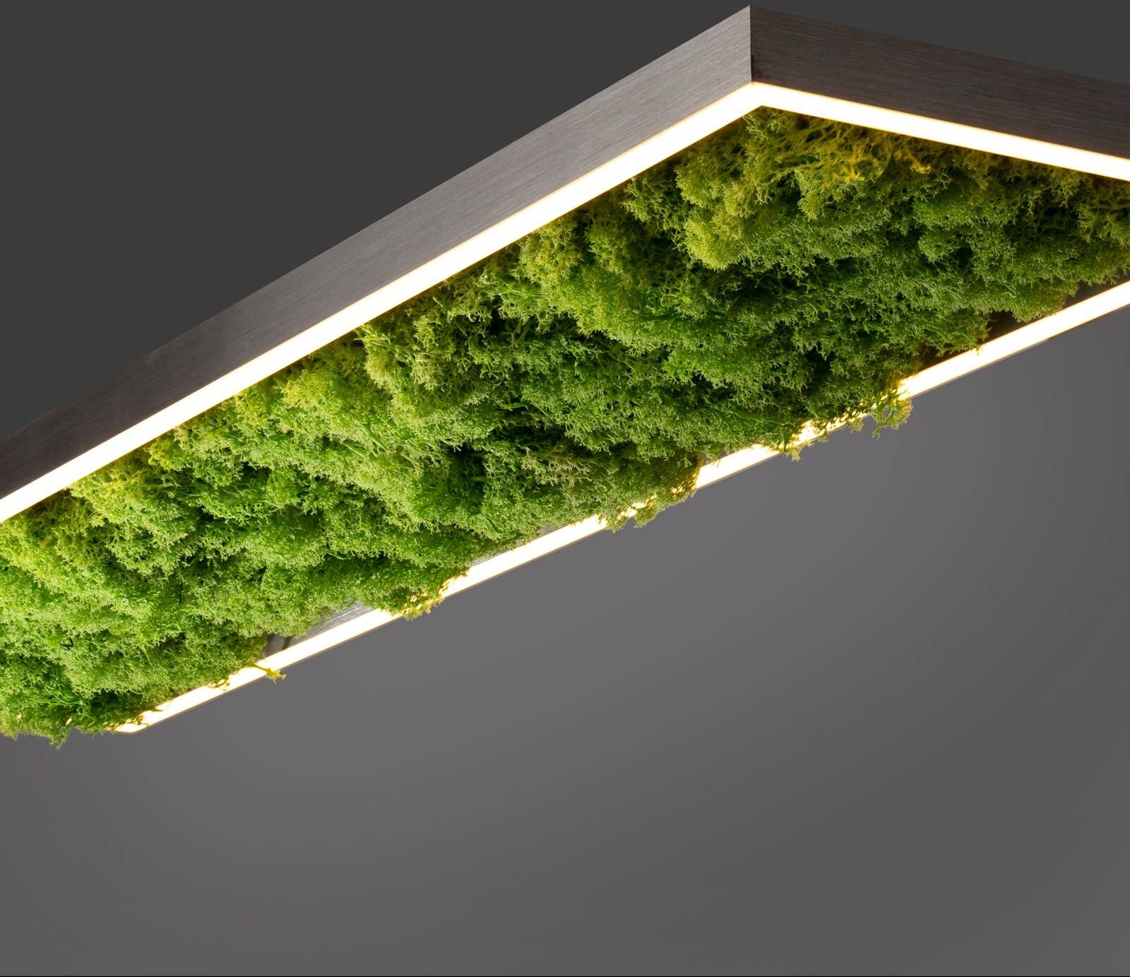 JUST LIGHT. GmbH LED Deckenlampe Green Knut, dimmbar, grün, für Wohn- / Esszimmer, Modern, LED Deckenleuchte