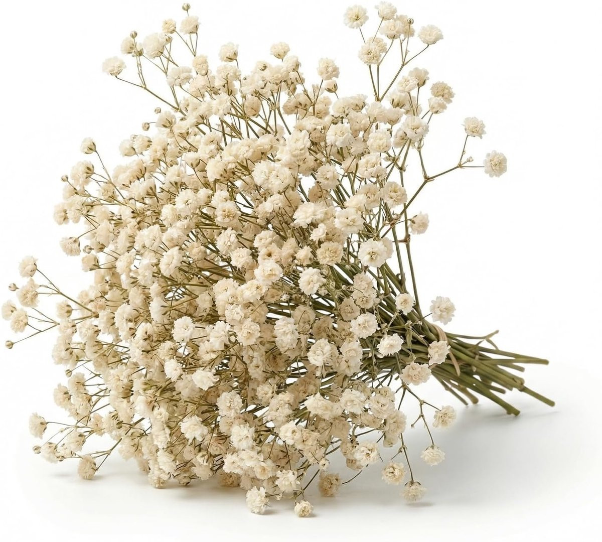 100 stuks Drwosm Gypsophila gedroogde bloemen wit voor decoratie en knutselen