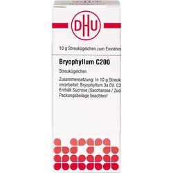Bryophyllum C200 10 G