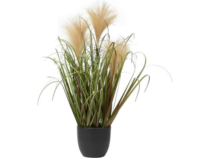 Kunstpflanze Pampasgras im Topf Olive, Olivgrün, Kunststoff, 43.9 cm, Dekoration, Blumen & Blumentöpfe, Kunstpflanzen