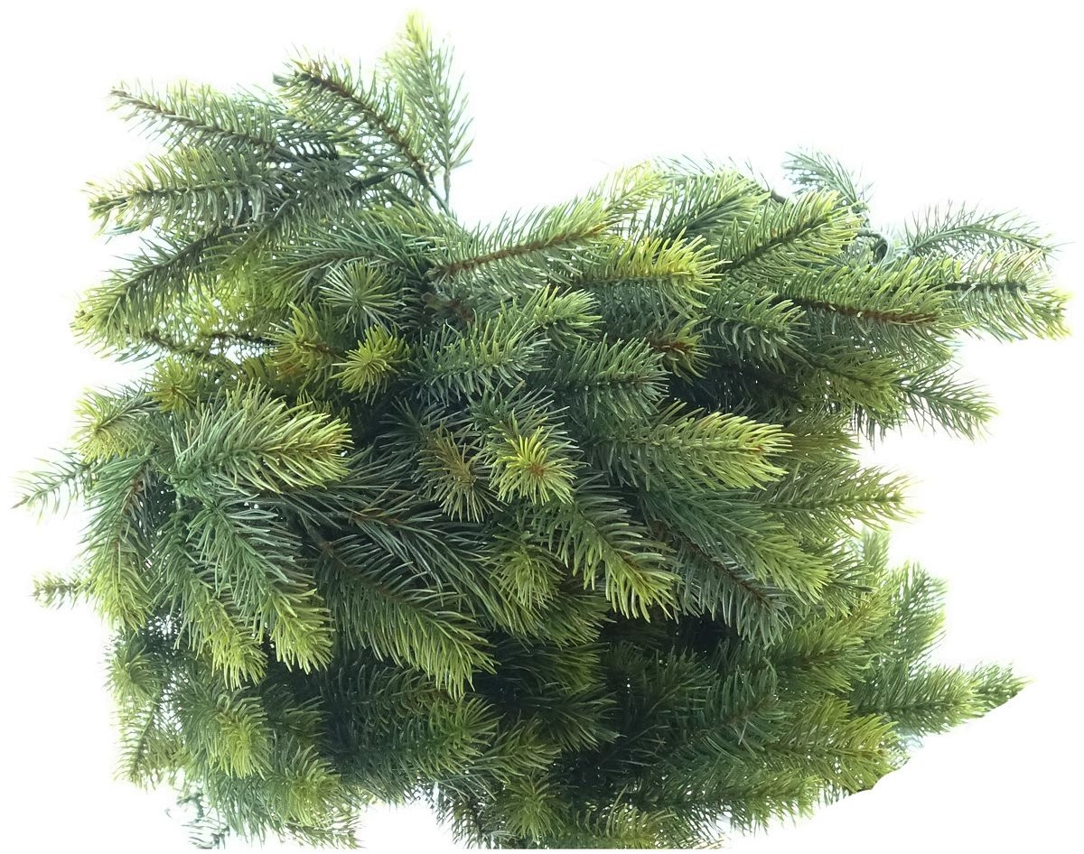 Gasper Kerstslinger Spar Groen 180 cm