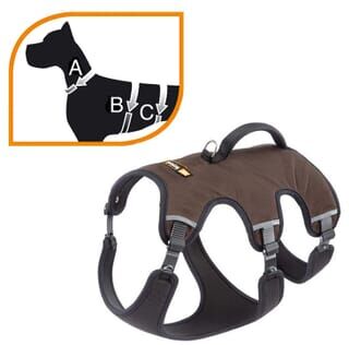 Ferplast Arnês Ergotrekking P Small Castanho