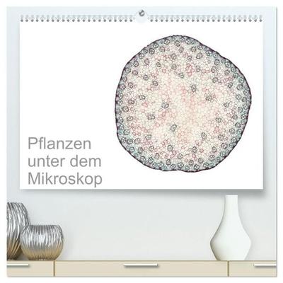 Pflanzen unter dem Mikroskop (hochwertiger Premium Wandkalender 2027 DIN A2 quer), Kunstdruck in Hochglanz