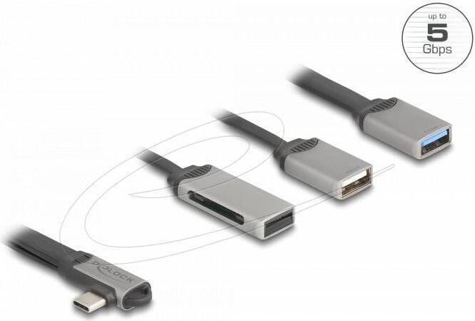 Delock 64303 USB Hub met 2 poorten en SD en Micro SD kaartlezer