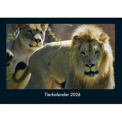 Tierkalender 2026 Fotokalender DIN A4