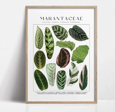 Uplift Essentials Green Botanical Leaves Canvas Art Calming Nature Inspired Prints For Modern Interiors style 11 16 X 24 In