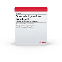 Glandula Thyreoidea suis Injeel Ampullen 10 St