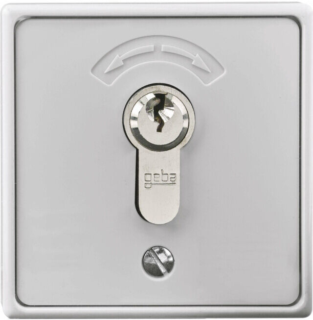 Rademacher Bouton-poussoir de clé encastré avec cylindre 4595 (80000005)