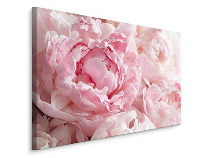 Muralo Wandbilder Pfingstrosen, Blumen, Natur, Flora, Pflanzen - 120x80 cm