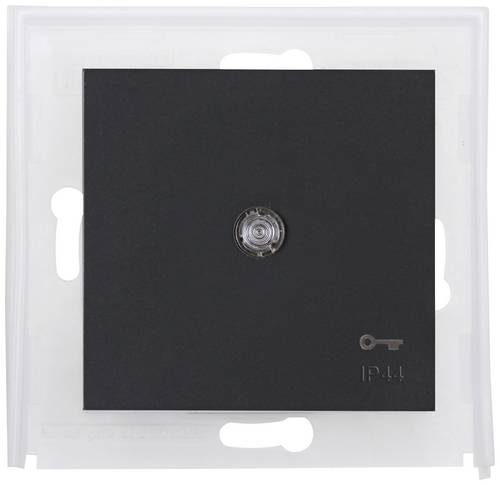Kopp Wippe Edelstahl 493963000 1St.