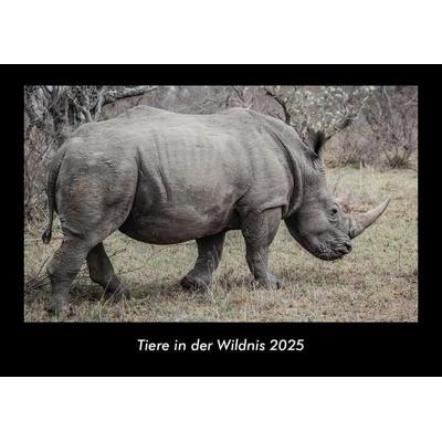 Tiere in der Wildnis 2025 Fotokalender DIN A3