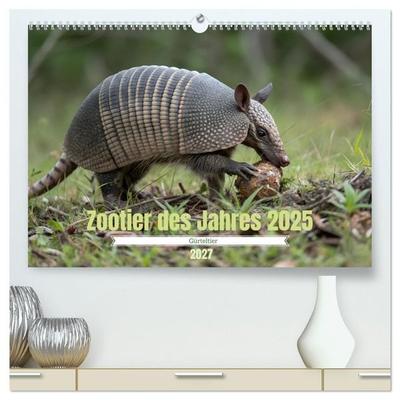 Zootier des Jahres 2025 - Gürteltier (hochwertiger Premium Wandkalender 2027 DIN A2 quer), Kunstdruck in Hochglanz