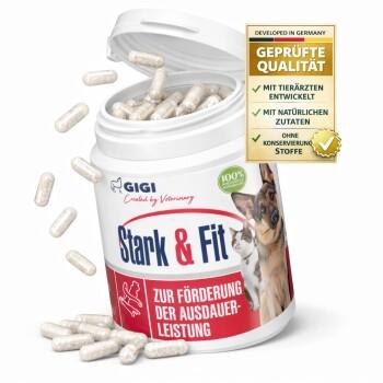 GIGI VET Stark & Fit 90 Stück