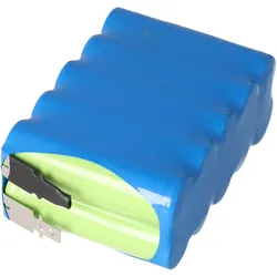 AccuCell Akku Automatiktüren 12 Volt (1 Stk., Akku), Akku Ladegerät