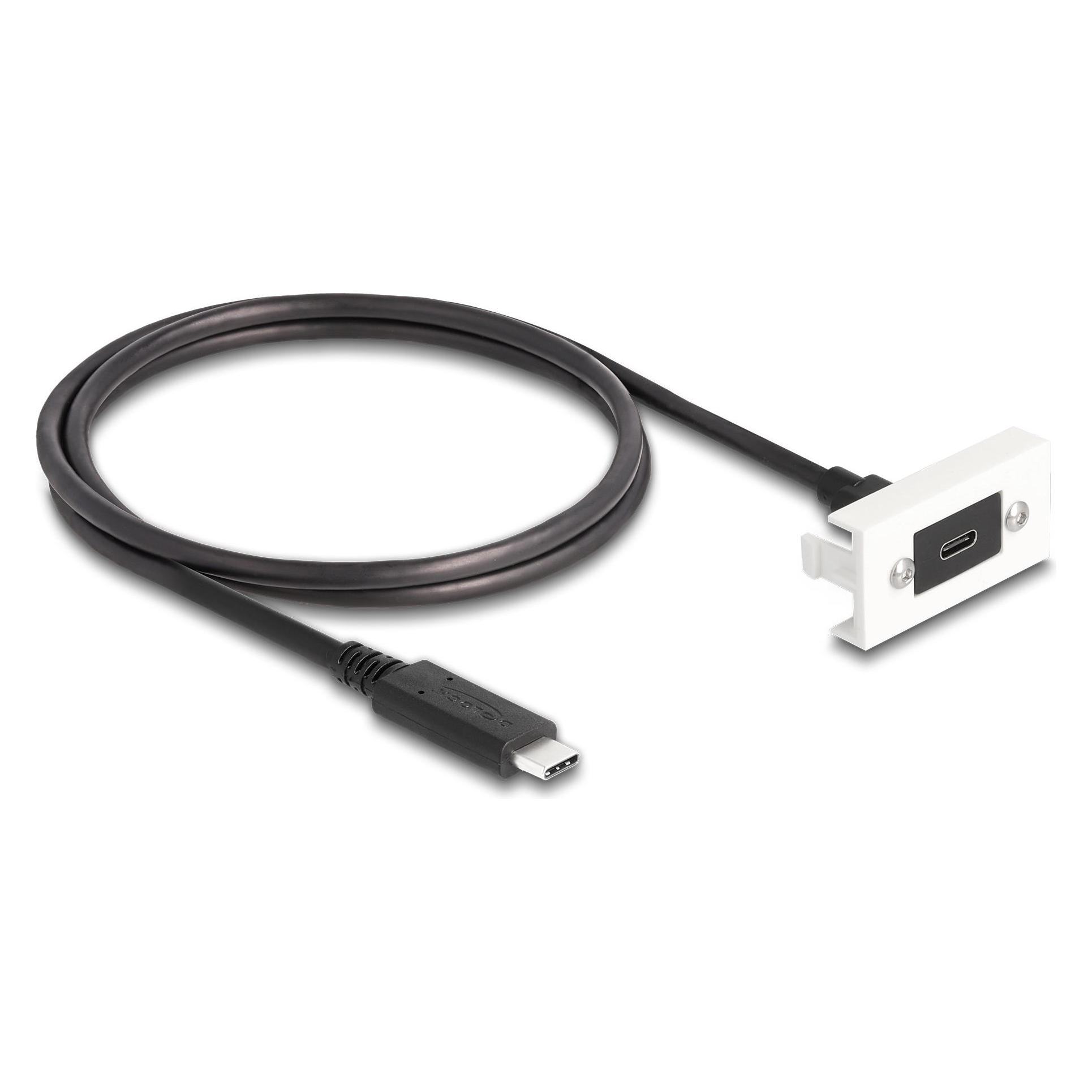 Delock Easy 45 Modul SuperSpeed USB 10 Gbps (1 m, USB 3.2 Gen 2) (81386)
