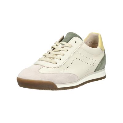 Sneaker GABOR "Gabor Sneaker Leder", Damen, Gr. 38, beige (beige, grün), Leder, Schuhe Sneaker