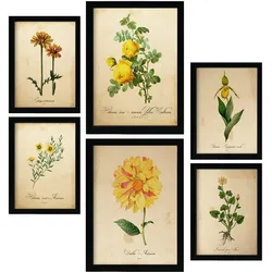 POSTER Set Mit 6 Gelbe Blumen Vollfarbige Blumenmotiven Im Vintage Papier Stil A3 & A4 Rahmenlos
