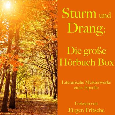 Sturm und Drang: Die große Hörbuch Box - Johann Wolfgang von Goethe,Friedrich Schiller, Audio, 9783955977832