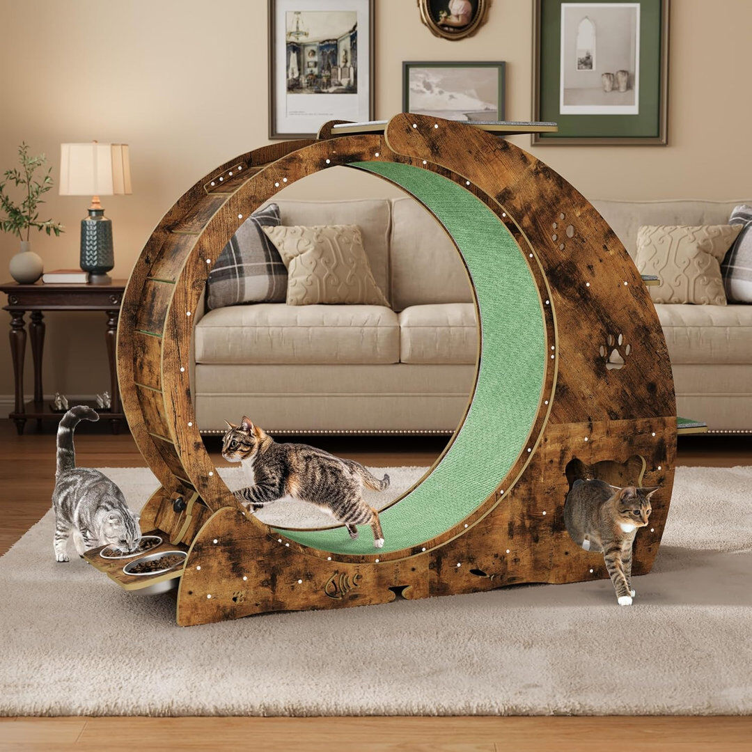 Blue Elephant 4-in-1 Indoor Cat Running Wheel, Large Quiet Running Wheel with Scratch Pad, Play Roller & Stable Wood Base for Active Cats Brown 102.9cm H X 140cm W X 36.8cm D