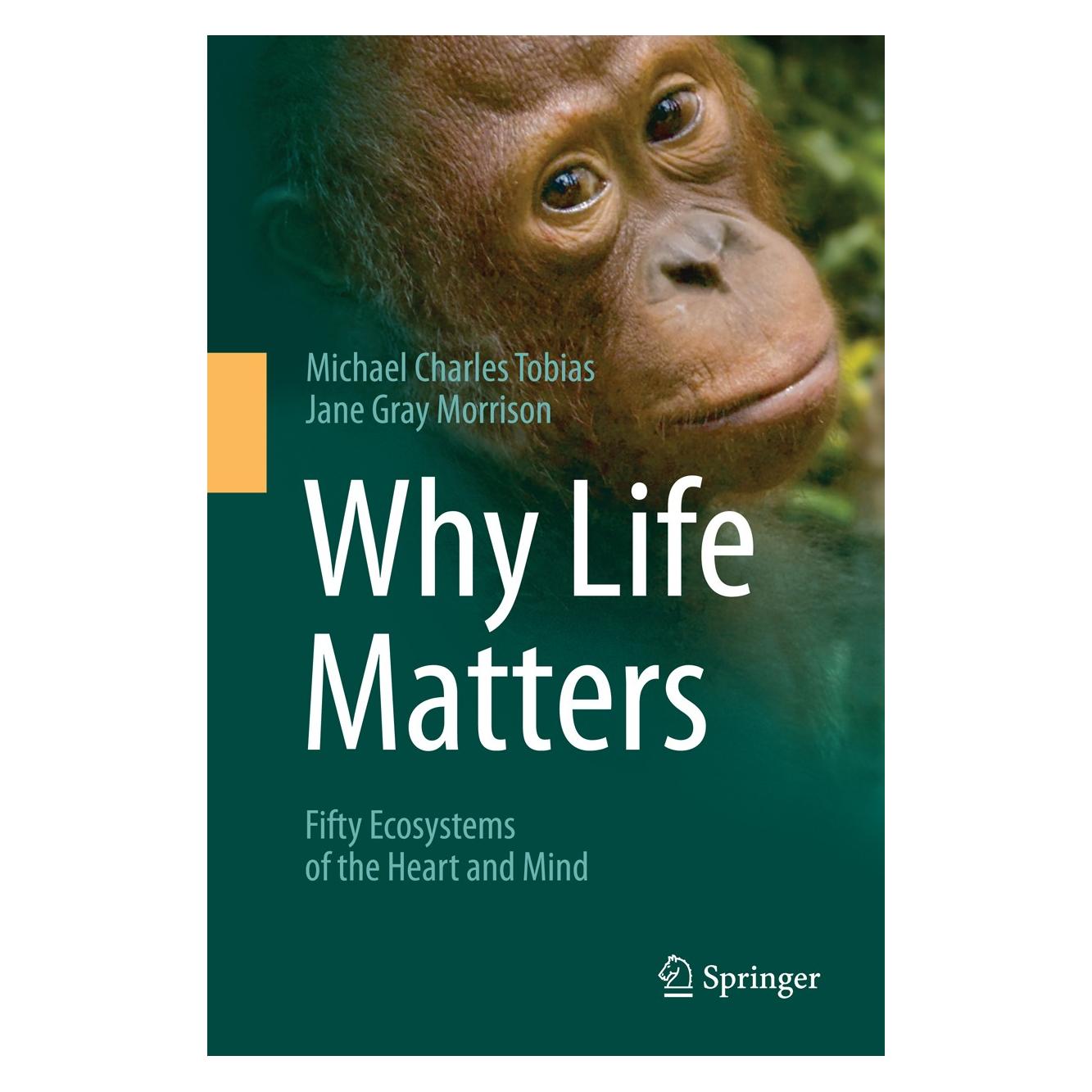 Springer Tobias:Why Life Matters, 1 (Englisch, Hardcover, Jane Gray Morrison, Michael Charles Tobias) (9783319078595)