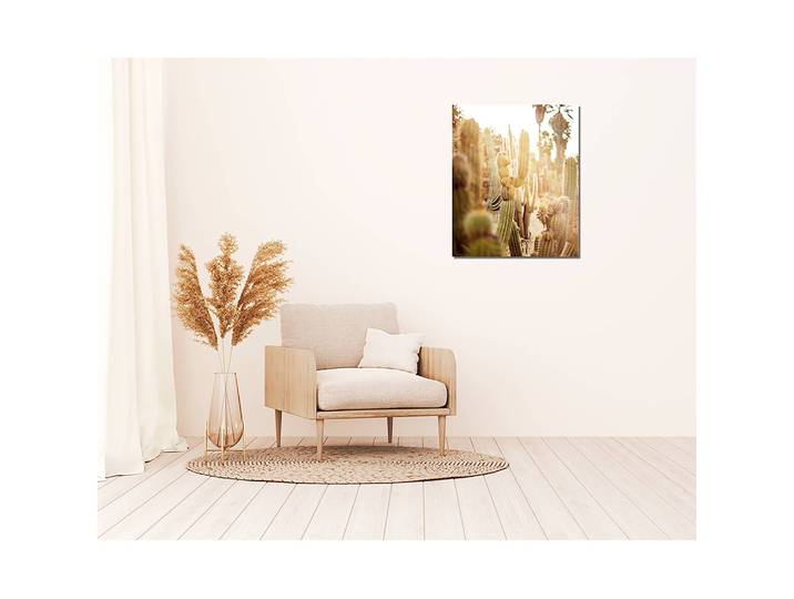 Tableau déco Various cactus in desert Alu-Dibond Multicolore 50 x 60cm