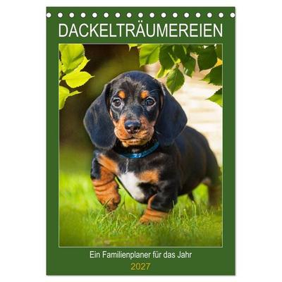 Dackelträume - Ein Familienplaner für das Jahr (Tischkalender 2027 DIN A5 hoch), CALVENDO Monatskalender