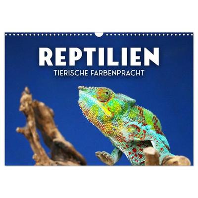 Reptilien - Tierische Farbenpracht (Wandkalender 2027 DIN A3 quer), CALVENDO Monatskalender