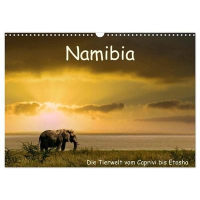 Namibia – Die Tierwelt vom Caprivi bis Etosha (Wandkalender 2026 DIN A3 quer), CALVENDO Monatskalender