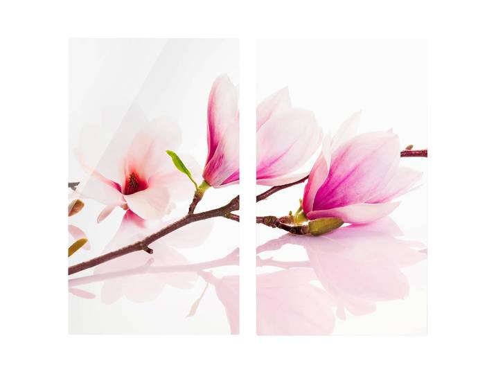 Protège-plaque de cuisson Magnolia 60 x 52 x 0cm