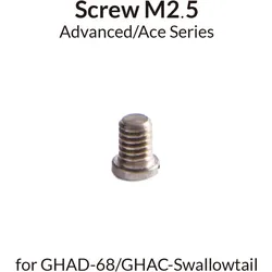 Gaahleri 41291 Screw M2 5 for 68 & Sw