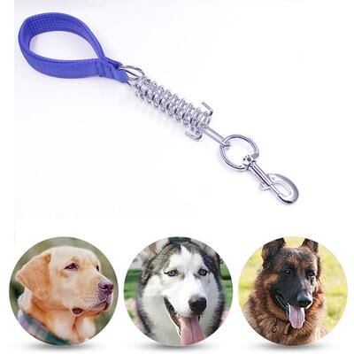 Inspired Deals Shock Absorbing Dog Leash With Spring Foam Handle For Medium Large Dogs size: 3mm*40cm, Foam Width: 2cm