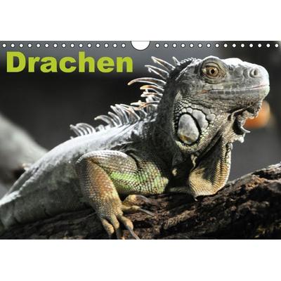 Drachen / Geburtstagskalender (Wandkalender immerwährend DIN A4 quer)