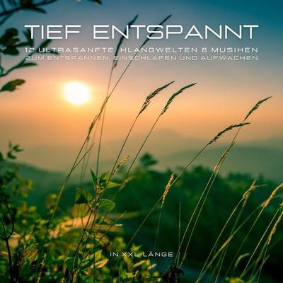 12 ultrasanfte Musiken & Klangwelten zum Entspannen, Einschlafen und Aufwachen in XXL-Länge - KlangOase-Solfeggio Frequenztherapie, Audio,
