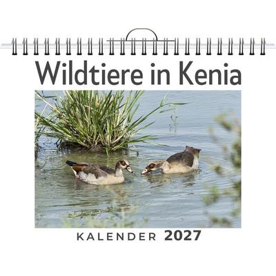 Wildtiere in Kenia
