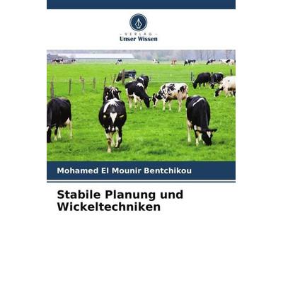 Stabile Planung und Wickeltechniken, Taschenbuch von Mohamed El Mounir Bentchikou, Verlag Unser Wissen, 978-620-3-95572-9