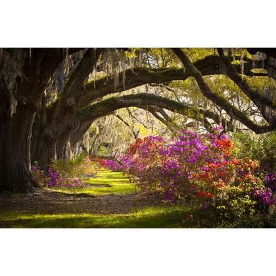 Papermoon "Waldwehg mit Blumen"