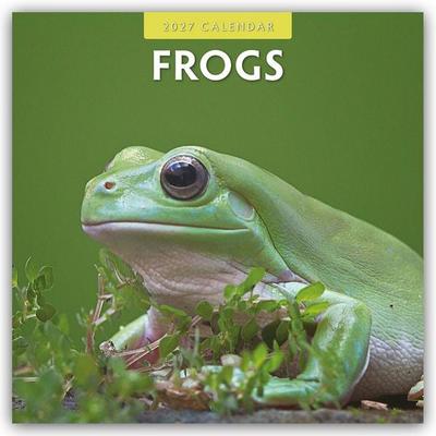 Frogs – Frosch – Frösche 2027 – 16-Monatskalender
