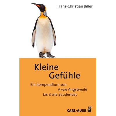 Kleine Gefühle, Taschenbuch von Hans-Christian Biller, Carl-Auer Verlag GmbH, 978-3-8497-0527-5