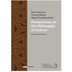 Perspectives on the Philosophy of Culture, Fachbücher von Thiemo Breyer, Marco Cavallaro, Elio Antonucci