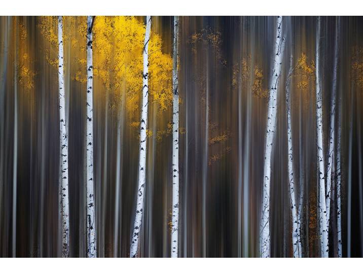 Fototapete PAPERMOON Photo-Art ANDY HU, FALLVORHANG , bunt, B:4,5m L:2,8m, Vlies, Tapeten, Fototapete