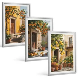 BILDER SET 3er Set - 40x60 cm Silberner Rahmen - Zitrusfrüchte, Hofpflanzen