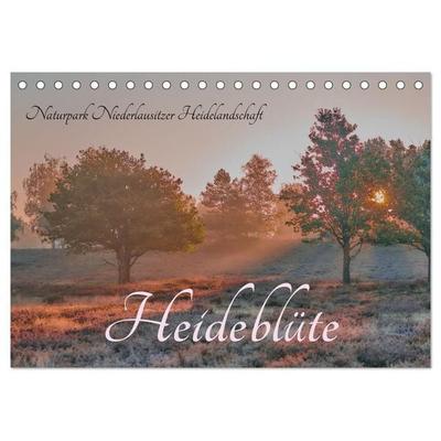 Naturpark Niederlausitzer Heidelandschaft - Heideblüte (Tischkalender 2027 DIN A5 quer), CALVENDO Monatskalender