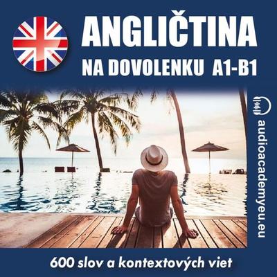 Angličtina na dovolenku A1-B1 - Tomas Dvoracek, Audio, 9788088625810