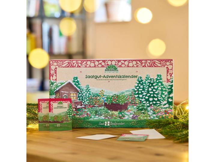 Saatgut Adventskalender mit 24 Samen-Überraschungen: Blumen, Kräuter, Gemüse, Salat