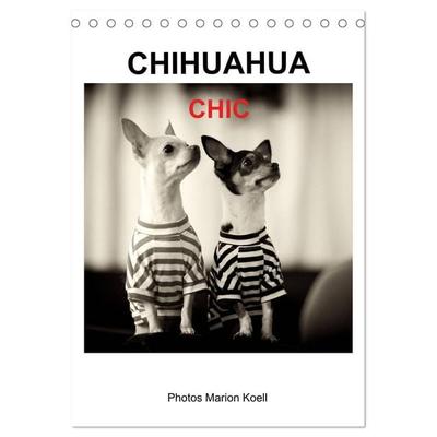 CHIHUAHUA CHIC Photos Marion Koell (Tischkalender 2027 DIN A5 hoch), CALVENDO Monatskalender