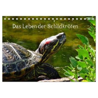 Das Leben der Schildkröten (Tischkalender 2027 DIN A5 quer), CALVENDO Monatskalender