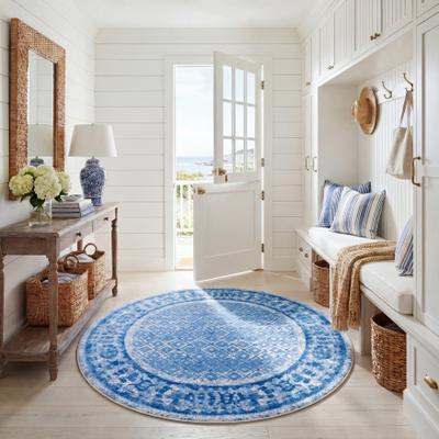 SAFAVIEH Adirondack Royce Distressed Rug